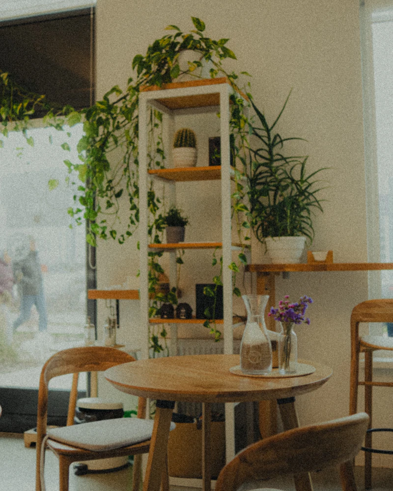 Gemütlicher Innenraum des SOSTA Cafés mit Pflanzen und warmem Licht