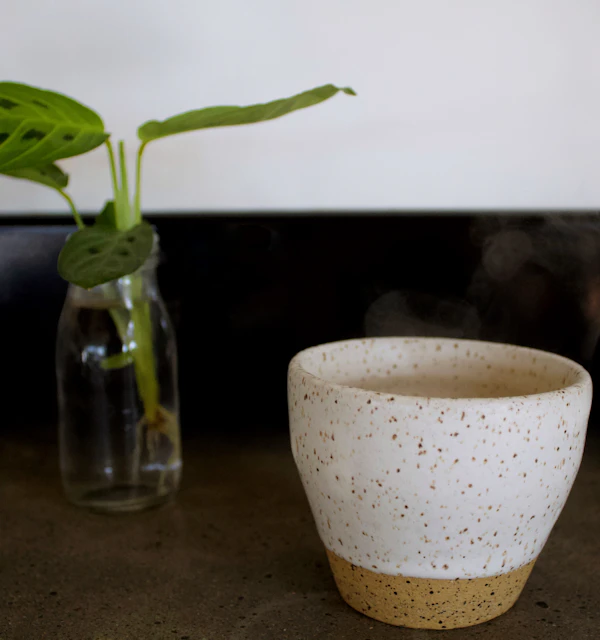 Holz und Pflanzendetails im SOSTA Café